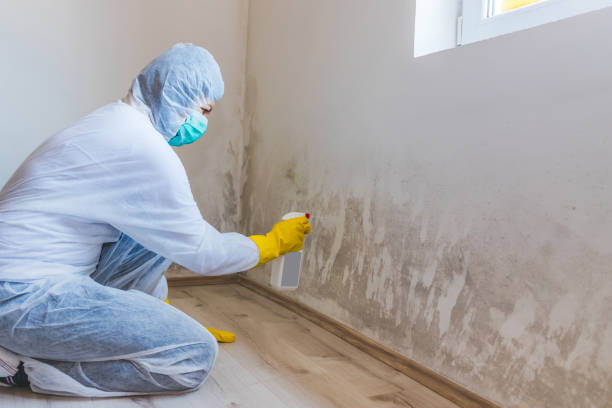 Bathroom Mold Removal assessment in Highland Park bathroom