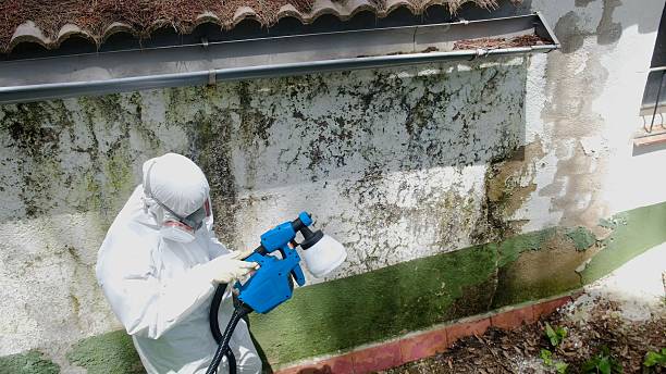Mold Remediation service in Highland Park, Highland Park, MI